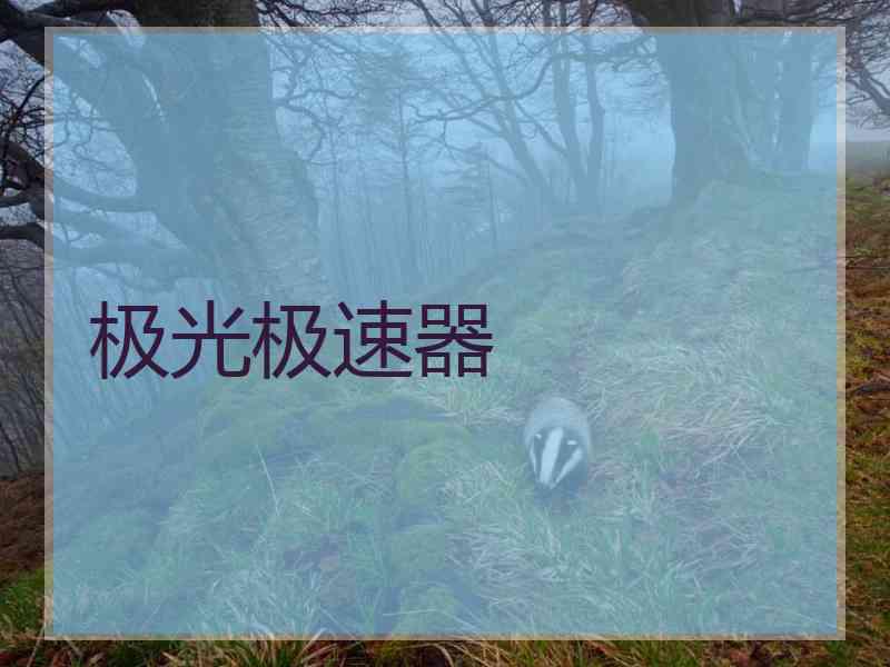 极光极速器