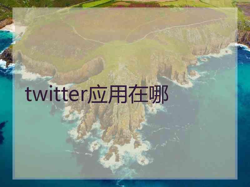 twitter应用在哪