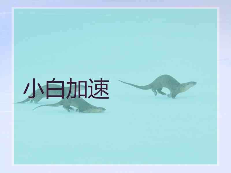 小白加速
