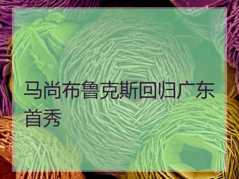马尚布鲁克斯回归广东首秀