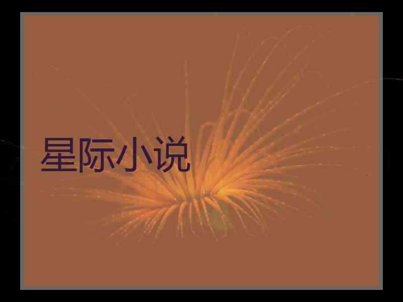 星际小说