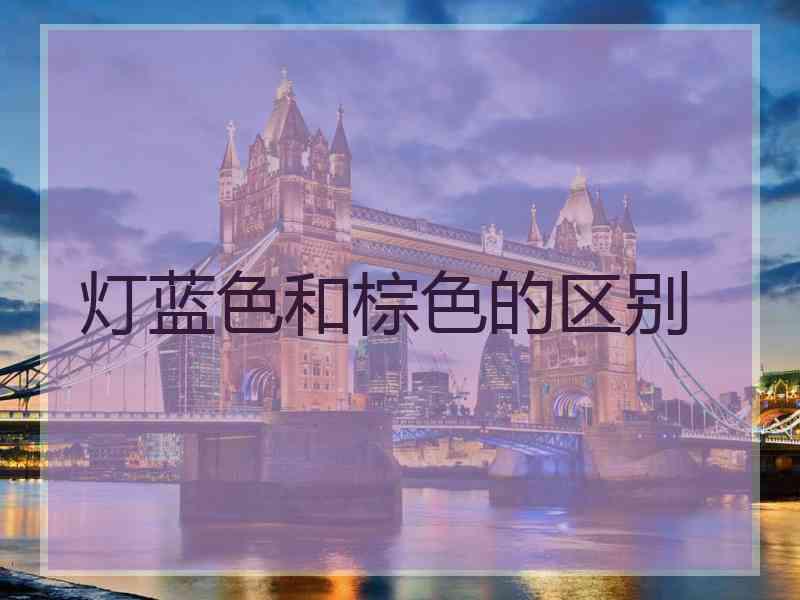 灯蓝色和棕色的区别