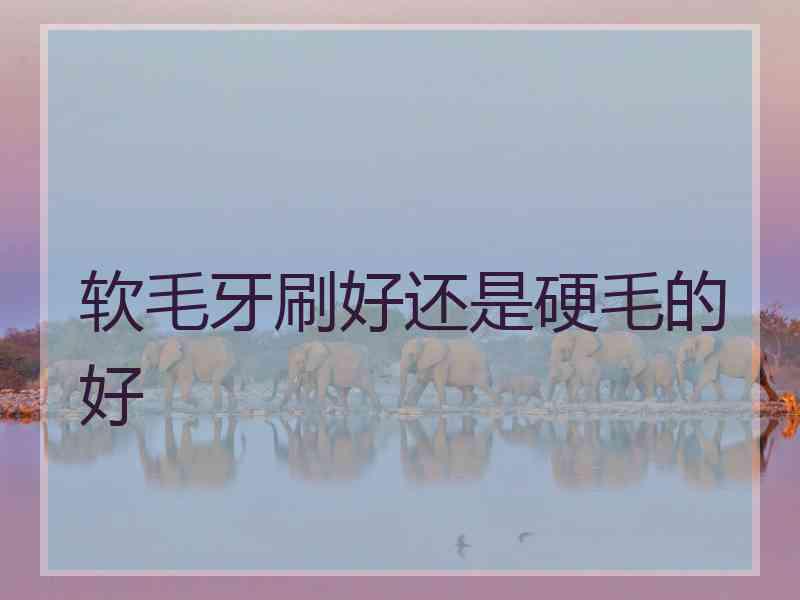 软毛牙刷好还是硬毛的好