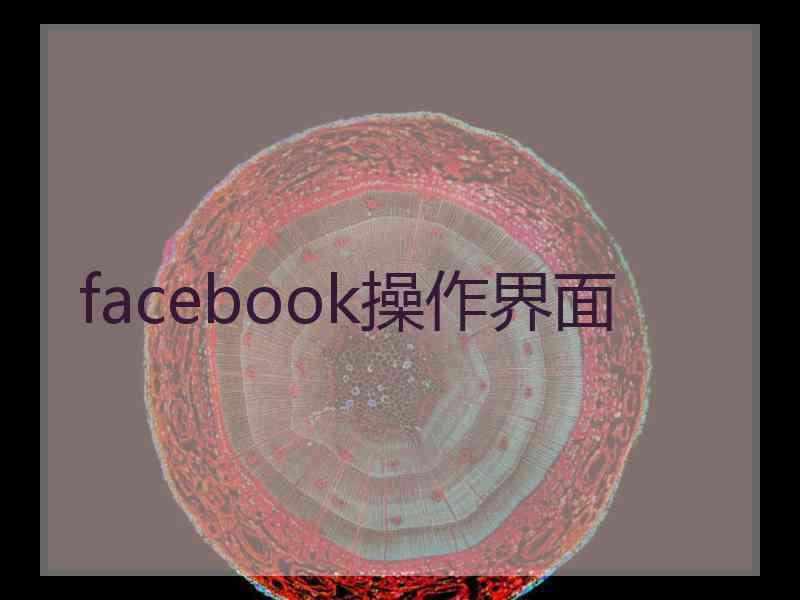 facebook操作界面