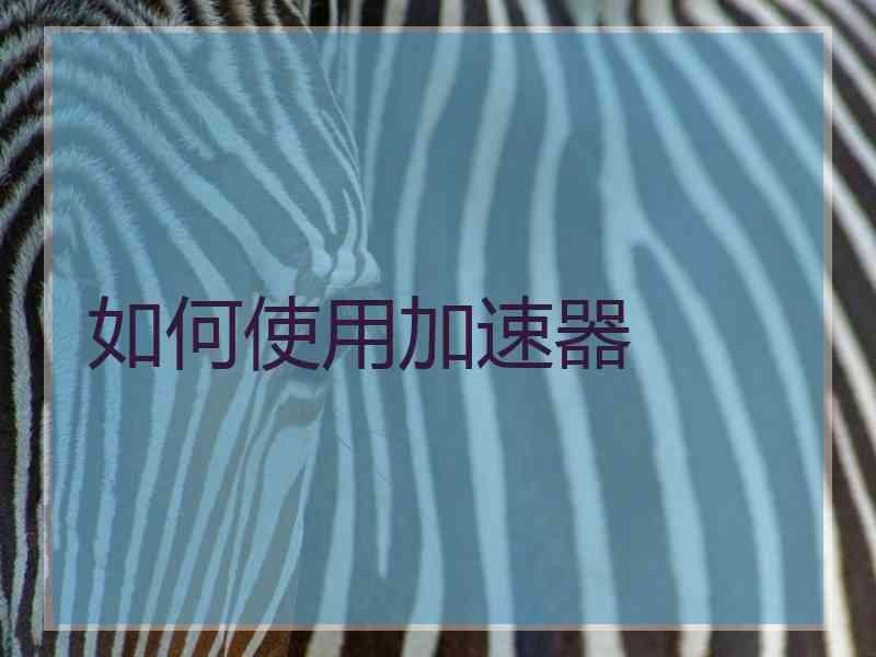 如何使用加速器
