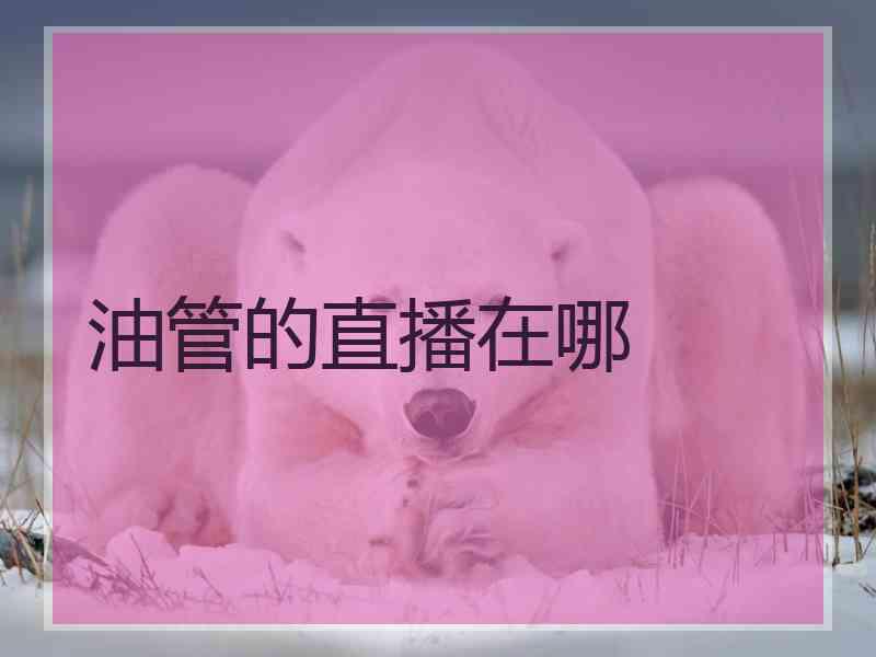 油管的直播在哪