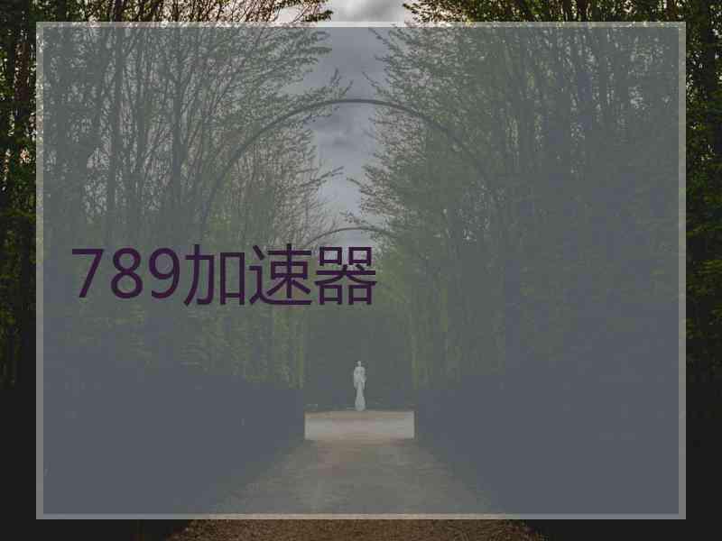 789加速器