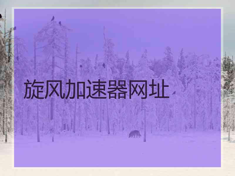 旋风加速器网址