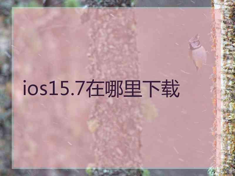 ios15.7在哪里下载