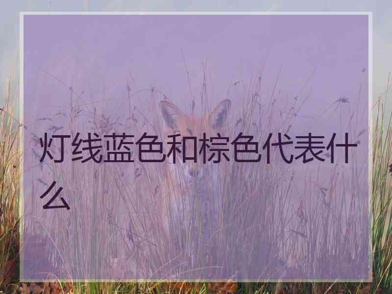 灯线蓝色和棕色代表什么